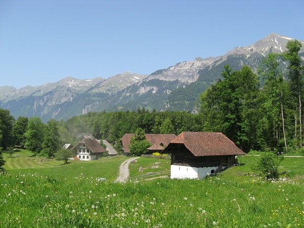 farma Szwajcaria